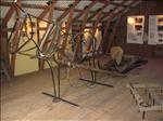 Sweden 2006-07 090